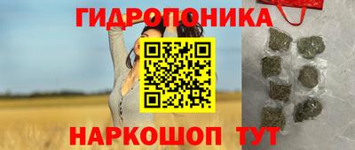 крисы Кунгур