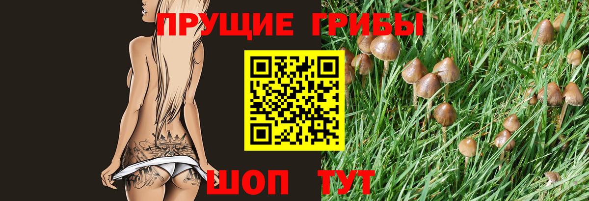 Псилоцибиновые грибы Magic Shrooms  Вход с VPN  Галлюциногенные грибы ЛСД  Усть-Илимск 